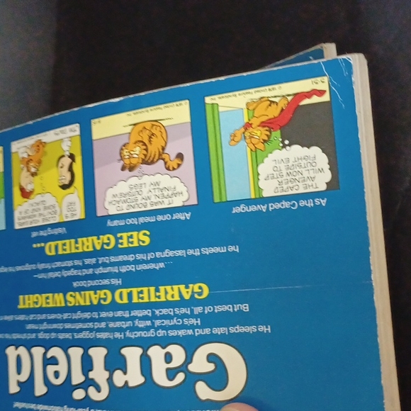 GARFIELD 1980s Books By Jim Davis Lot of 3 - Picture 13 of 16
